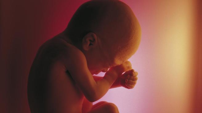 fetus-expel-waste_26f7bbe78fc7d6c2